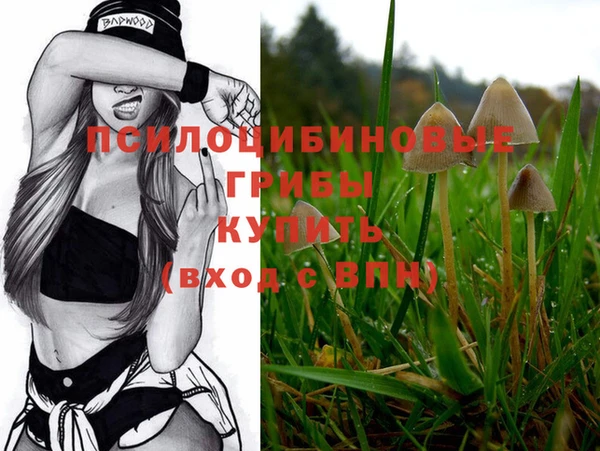 не бодяженный Абаза
