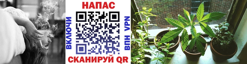 где найти наркотики  Россошь  Канабис MAZAR 